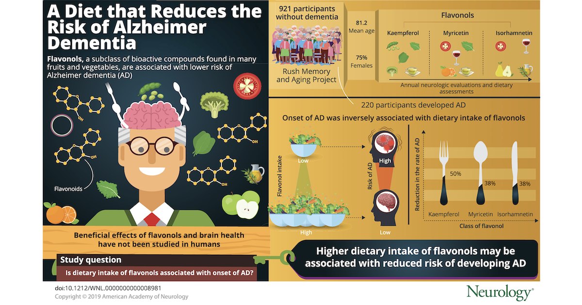 Infográfico do estudo da revista Neurology sobre dieta rica em flavonóides e menor risco de demência de Alzheimer